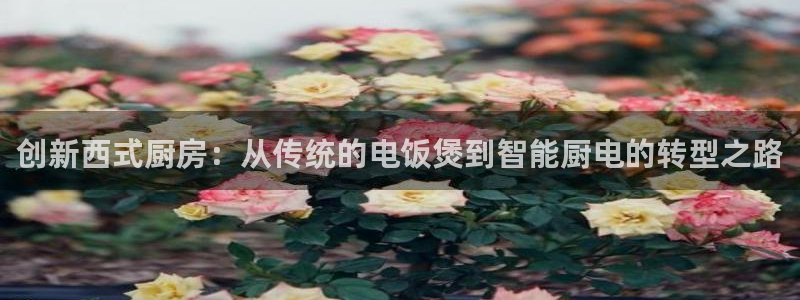 摩登4前7O667