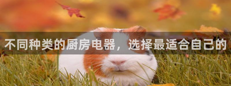 摩登18 7