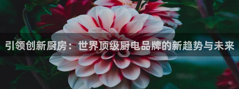 摩登4地7O667