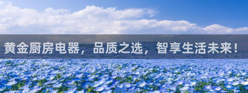 摩登7软件是什么原因