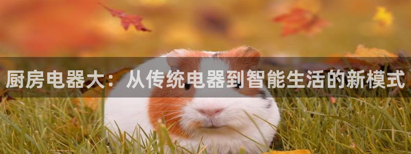 摩登7后