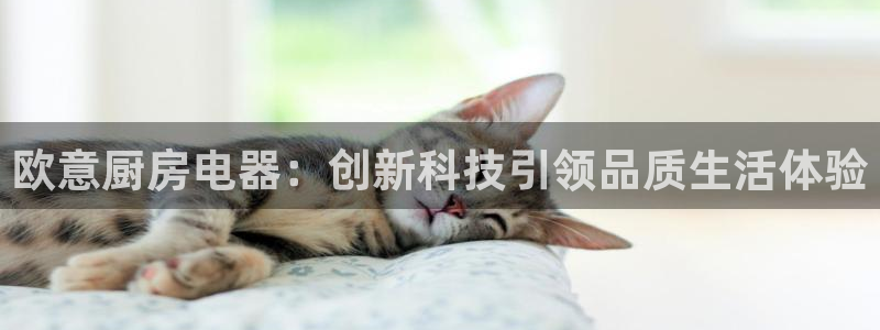 摩登7彩票平台是啥