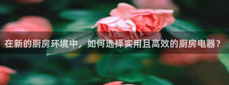 摩登4前7O667