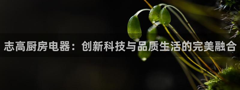 摩登7日3299O7
