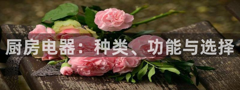 摩登口碑7