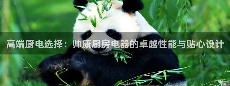 摩登7前7O667