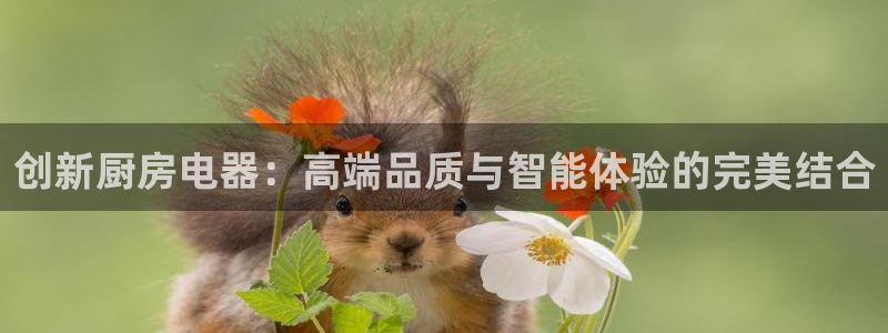 摩登7来宾