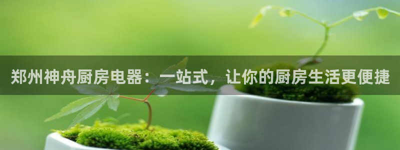 摩登2 7