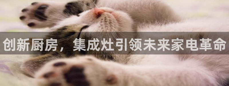 摩登6跟摩登7的区别