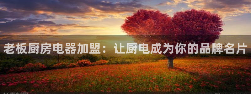 摩登7股东