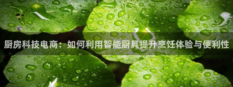 摩登5冯7O667