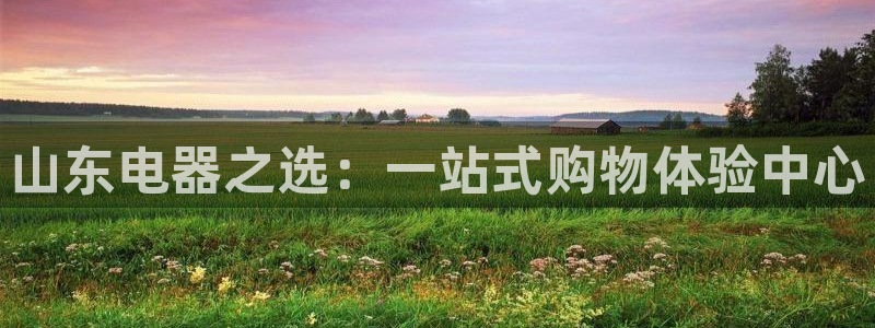 摩登5张7O667