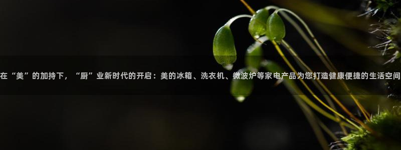 摩登3月7O667