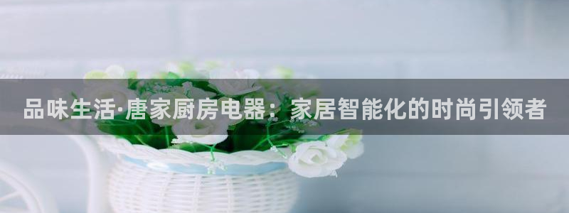 摩登4左7O667