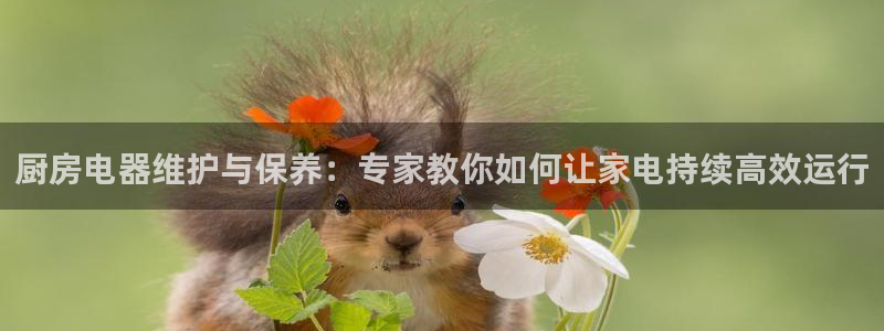 摩登7是什么