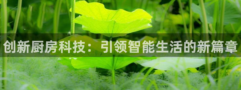 摩登7后3299O7
