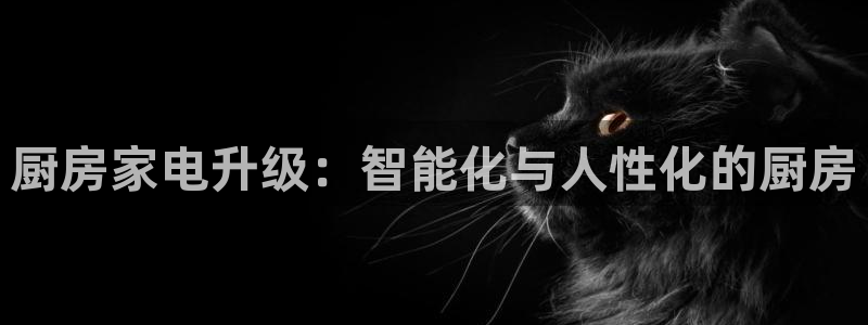 摩登平台视7O777