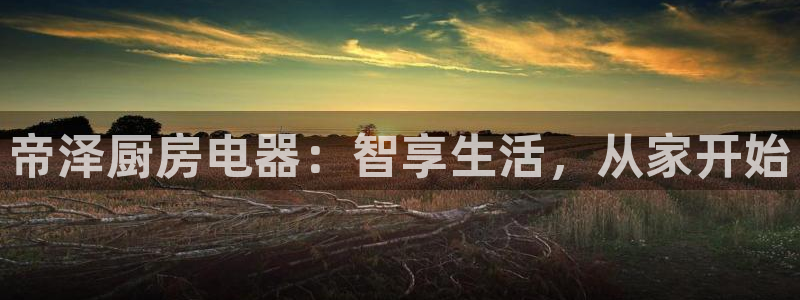 摩登7平台