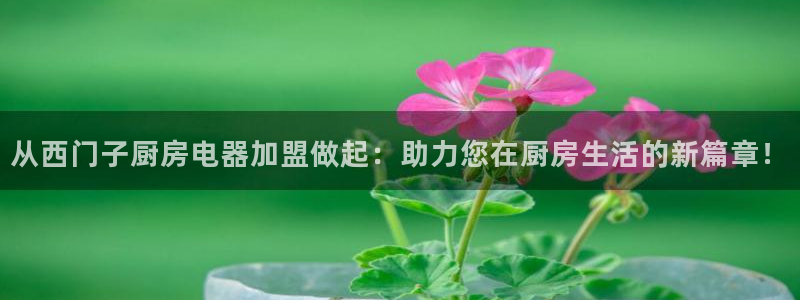 摩登6吴这7O667