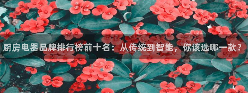 摩登3天7O667