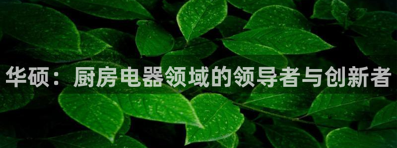 摩登7日