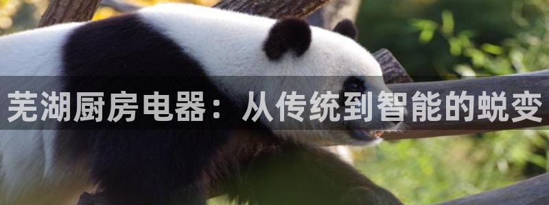摩登7口碑