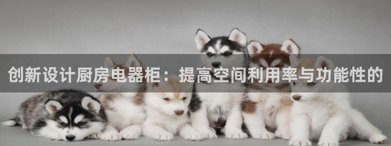 摩登7彩票平台登陆总代