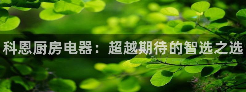 摩登7官网的详细介绍