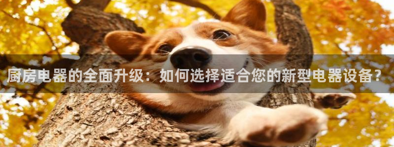摩登7彩票平台登陆总代