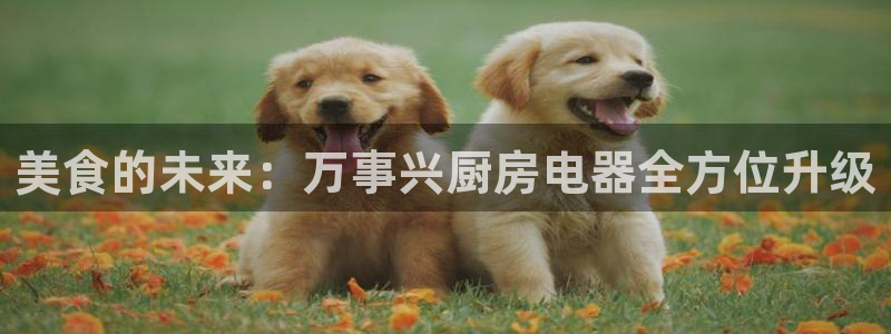 摩登7月7O667