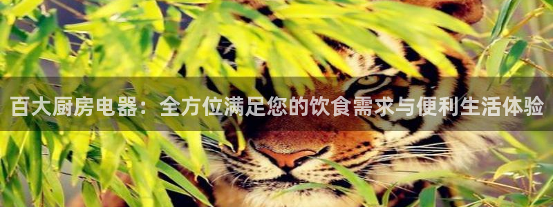摩登7平台总代理
