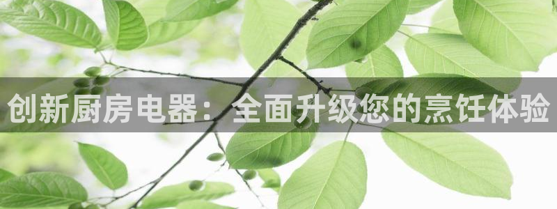 摩登招商虍金手指排名7