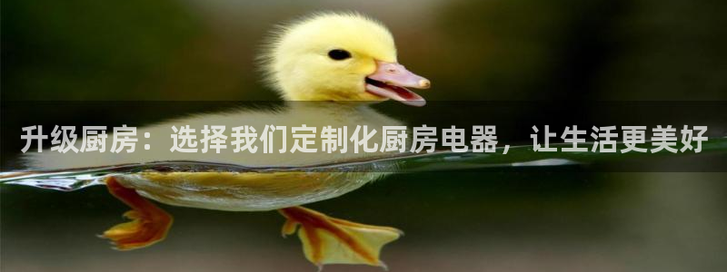 摩登7股东