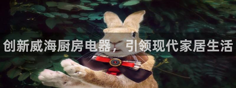 摩登7直属