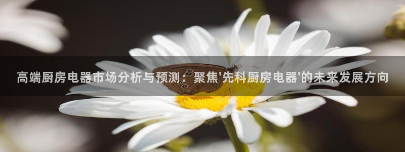精品摩登7