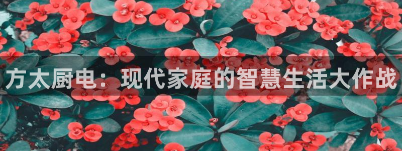 摩登3褚7O667