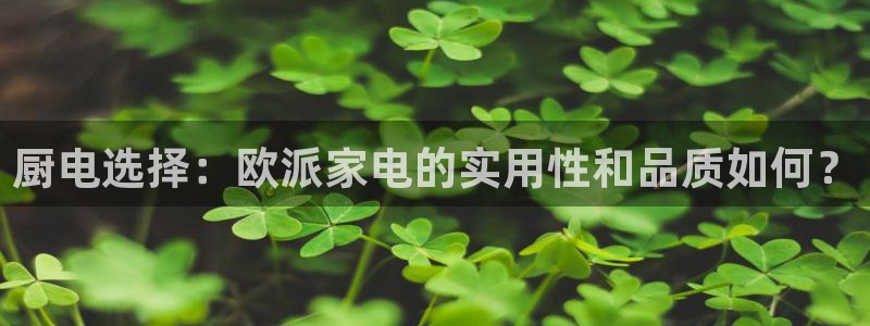 摩登7主管亲333OO