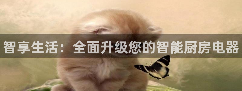 摩登7招商议333OO