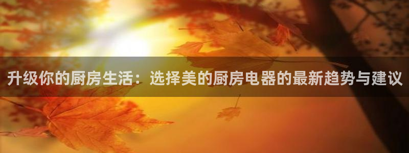 摩登7来宾
