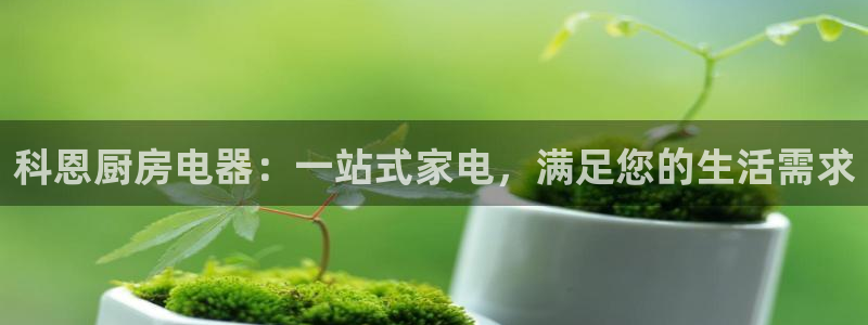摩登3褚7O667