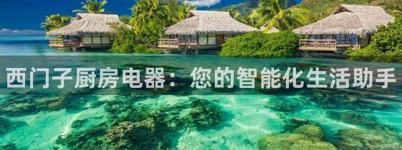 摩登7招商排名