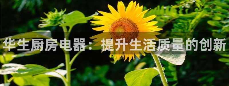 摩登5周7O667