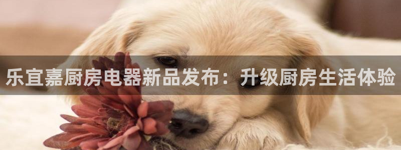 摩登2 7