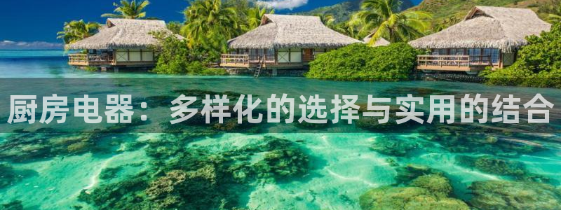 摩登5左7O667